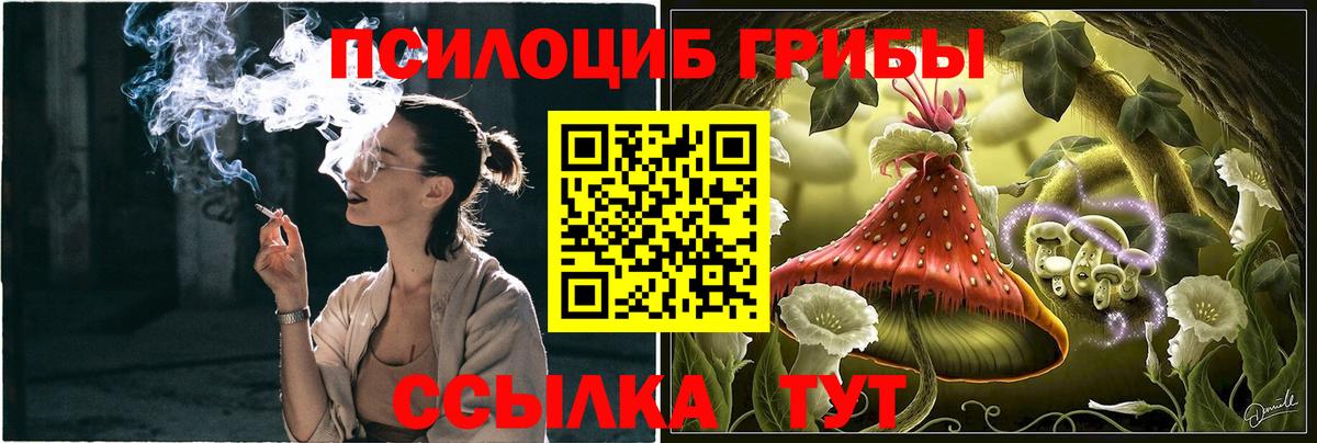 Псилоцибиновые грибы Psilocybe  где купить наркоту  Норильск  Вход с VPN 