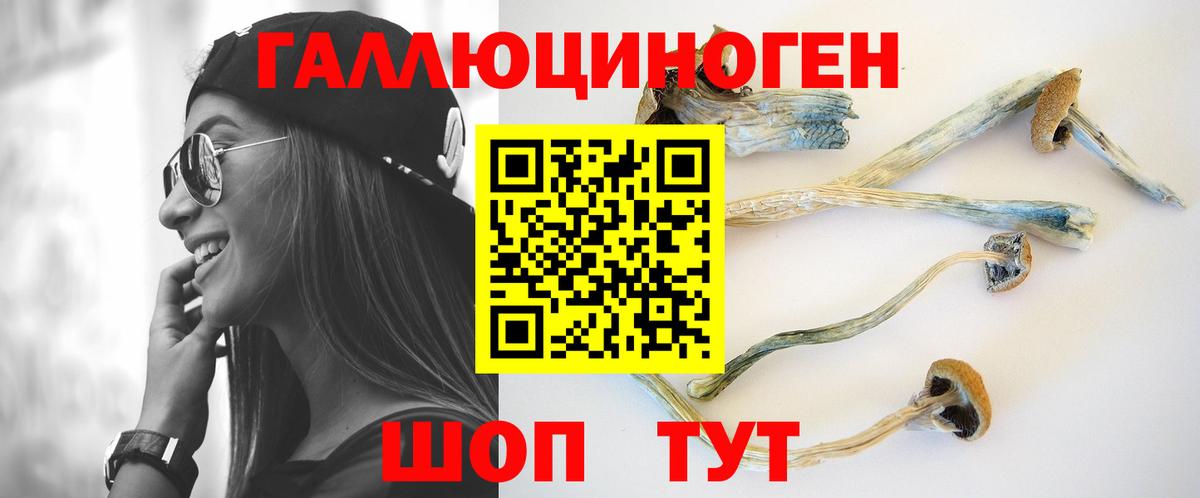 Псилоцибиновые грибы Psilocybine cubensis Норильск